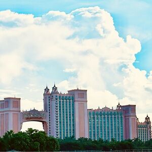 Meet your Posher, Jamie t.